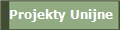 Projekty Unijne